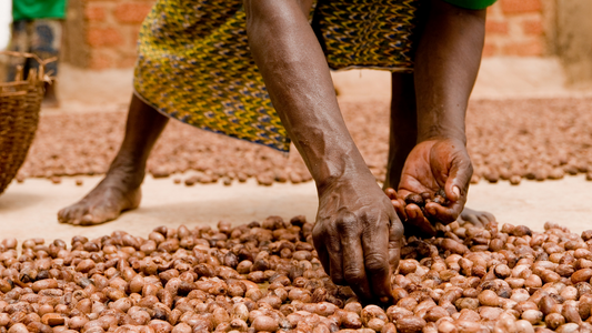 Why I love Shea Butter: The Heart of Basically Earth